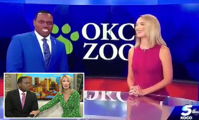 Sunucu arkadaşını gorile benzetti! Ağlayarak özür diledi! - Resim : 1