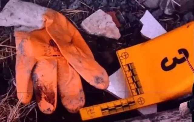 Narin Güran cinayetinde tüm gizemi çözecek delil: Kanlı eldiven - Resim : 1