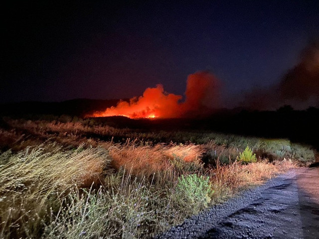 5 ilde orman yangınlarıyla mücadele sürüyor! Ciğerlerimiz yanıyor... - Resim : 1