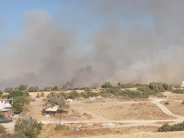 Aydın'daki orman yangını şehir merkezine sıçradı! 'Evlerinizi boşaltın' çağrısı - Resim : 2