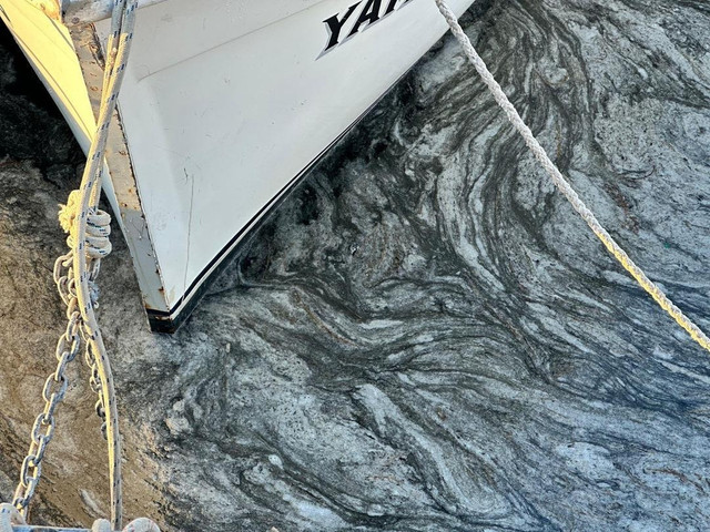 Marmara Denizi'ndeki tehlike böyle görüntülendi! Aynı manzara farklı şehirler... - Resim : 2