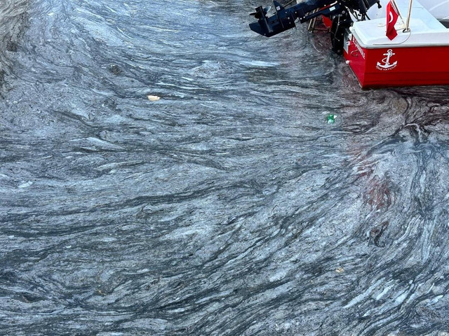 Marmara Denizi'ndeki tehlike böyle görüntülendi! Aynı manzara farklı şehirler... - Resim : 3