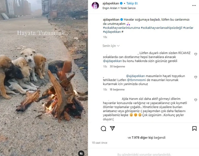 Ajda'dan örnek davranış: ‘Canları unutmayın’ - Resim : 1