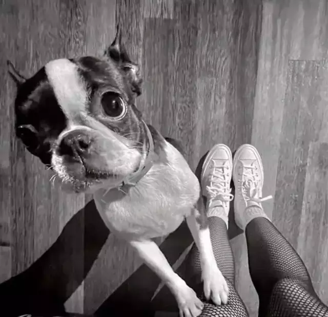 Uraz Kaygılaroğlu gönlünü o güzele mi kaptırdı? Bomba paylaşım... - Resim : 3