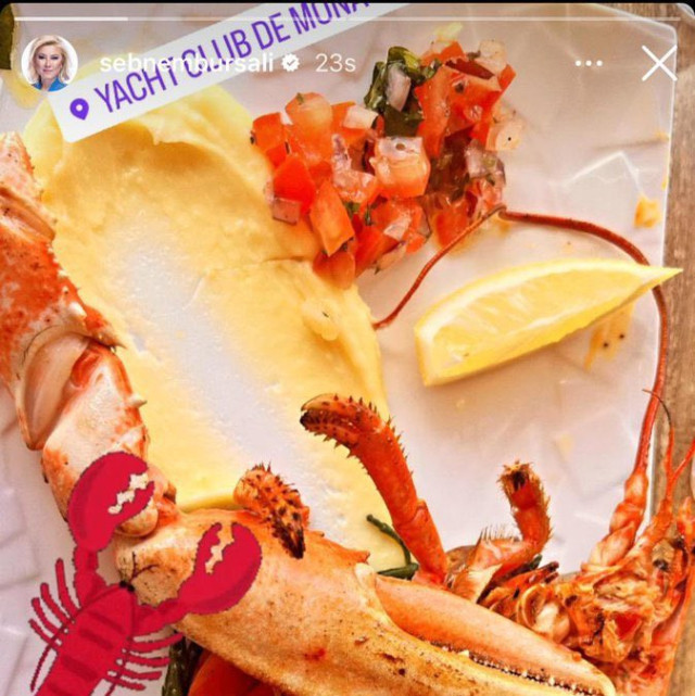 AK Partili Şebnem Bursalı "ıstakoz" krizi sonrası ilk kez görüntülendi - Resim : 1