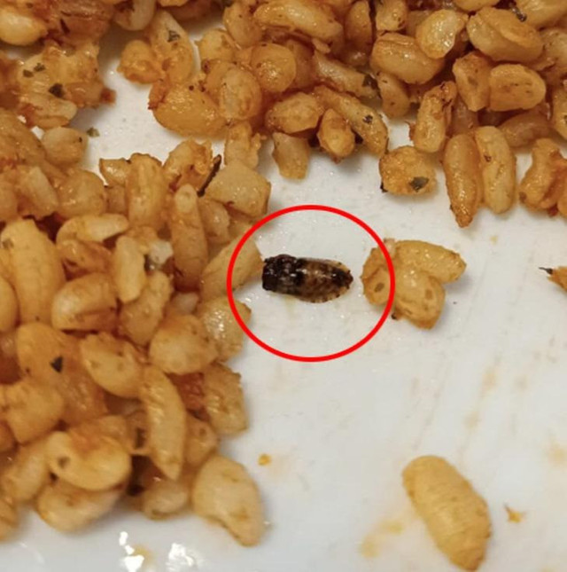 Denizli'deki KYK yurdu ile ilgili skandal iddia! Yemeklerden çıkanlar mide bulandırdı! - Resim : 3