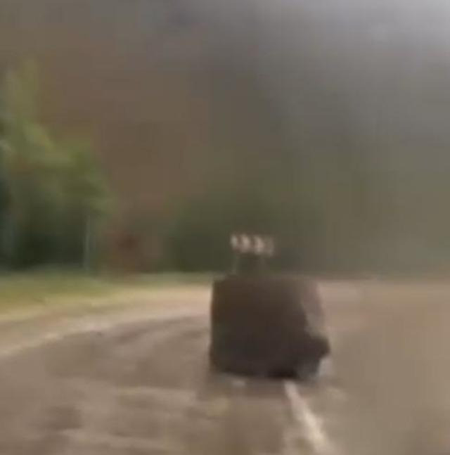 Geçen yıl o bölgede 4 öğretmen ölmüştü... Yola yine kaya düştü - Resim : 4