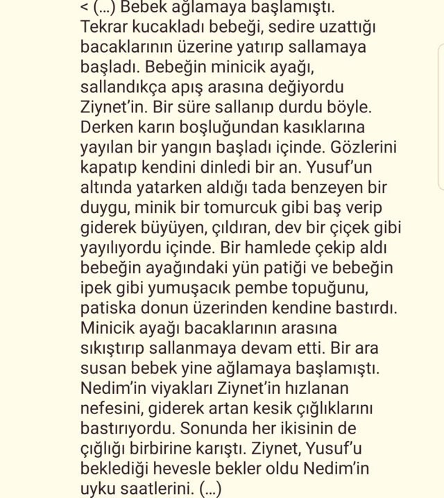 Ayşe Kulin'in Gece Sesleri kitabına tepki! - Resim : 1