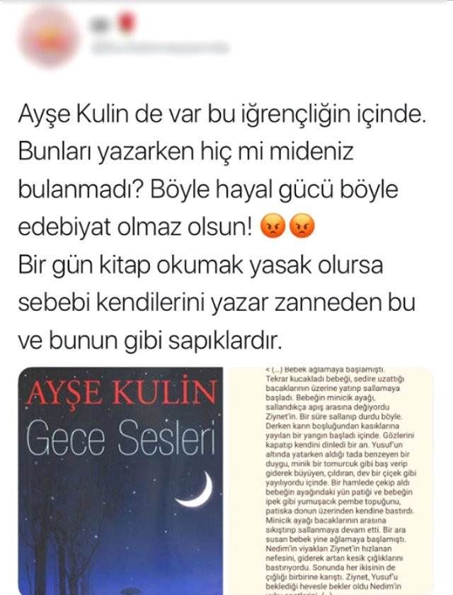Ayşe Kulin'in Gece Sesleri kitabına tepki! - Resim : 3