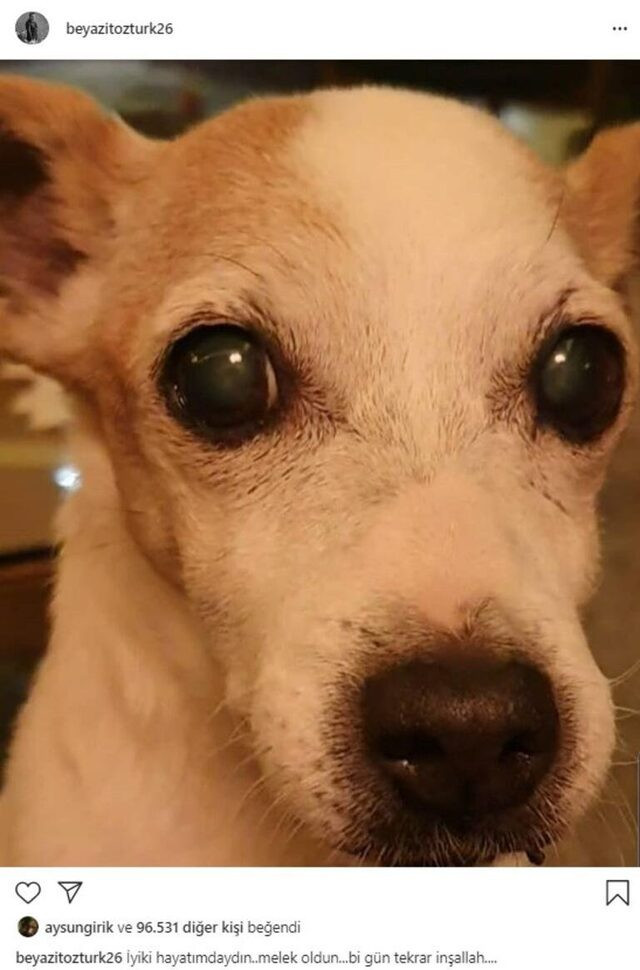 Beyaz'ın acı kaybı! 'İyi ki hayatımdaydın' - Resim : 1