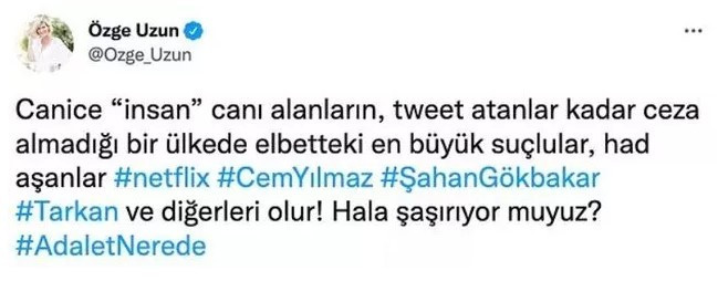 Bahçeli'nin 'Haddini aşmıştır' dediği Cem Yılmaz'a ünlülerden destek yağdı! - Resim : 8