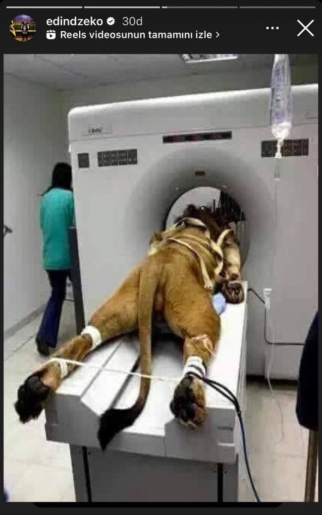 Fenerbahçe'nin yıldızlarından Galatasaray'a gönderme - Resim : 1