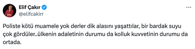 Karar yazarı Elif Çakır'a 'yanlışlıkla' gözaltı! 'Bir bardak suyu çok gördüler…' - Resim : 1