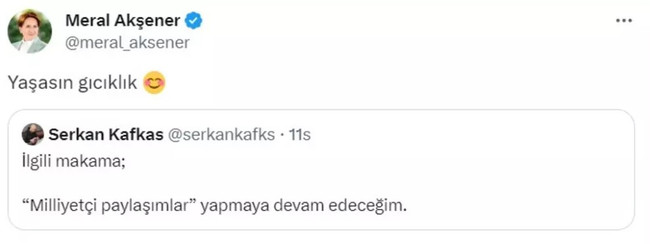 Meral Akşener'den dikkat çeken çıkış: ‘Yaşasın gıcıklık’ - Resim : 1