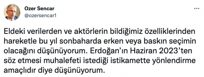 Ünlü anketçiden çarpıcı çıkış! ‘Erken veya baskın seçimin olacağını düşünüyorum…’ - Resim : 1