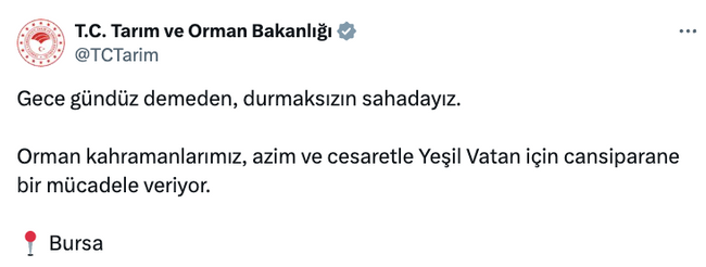 Yangına müdahalede ekipman eksikliği dikkat çekti! Bakanlık 'mücadele ediyoruz' dedi ama… - Resim : 1