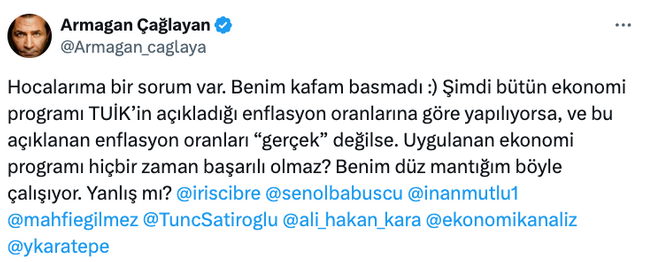 Armağan Çağlayan'dan ekonomistlere TÜİK sorusu! 'Gerçek değilse...' - Resim : 1