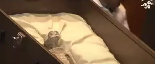 Uzaylıları resmen ifşa ettiler! En az 1000 yaşındalar, bu dünyaya ait değiller - Resim : 2