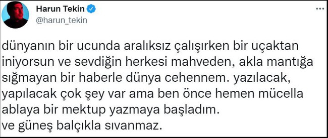 Sanatçılardan Gezi kararına tepki: Bu hepimize dert olsun! - Resim : 9
