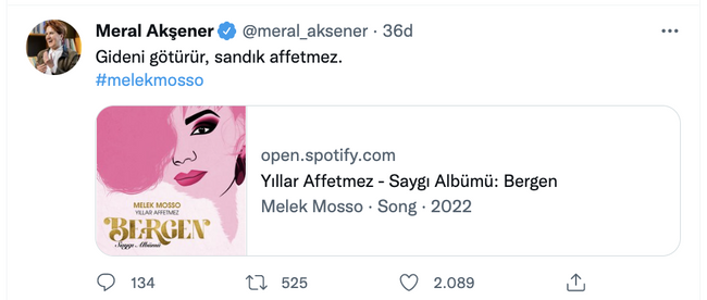 Meral Akşener’den konseri iptal edilen Melek Mosso’ya destek: Yıllar Affetmez şarkısını paylaştı - Resim : 1