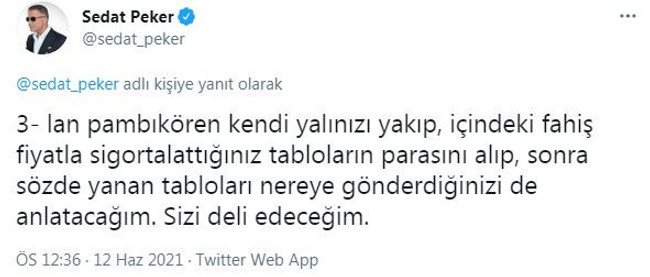 Ahmet Ravalı’nın yalı yangınını 2018’de yazdığı ortaya çıktı! Sedat Peker’in iddiaları arasındaydı… - Resim : 1