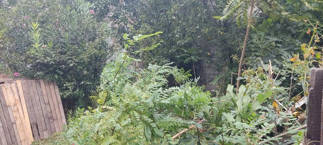 Fatih’te Yeni Dünya Vakfı’na milyon dolarlık rant! Yönetiminde AK Partililer vardı... - Resim : 2