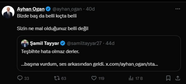 Cumhurbaşkanı Danışmanı Ayhan Ogan'dan, Tayyar'a sert sözler: 'Fitneci, gavur' - Resim : 2