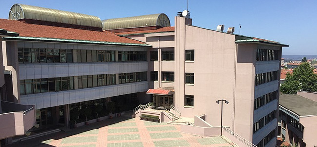 Öğretmen, okulun kedisini 5. kattan aşağı attı! Kedi Eros’un ardından şimdi de kedi Faruk… - Resim : 1