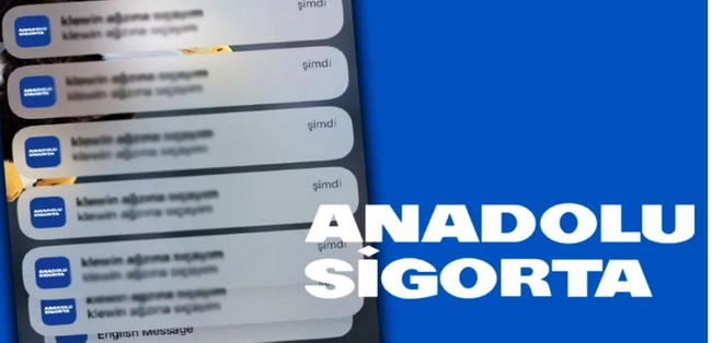 HGS uygulamasına 'siber saldırı' HGS mesaj atma sistemine sızıntı oldu! - Resim : 3