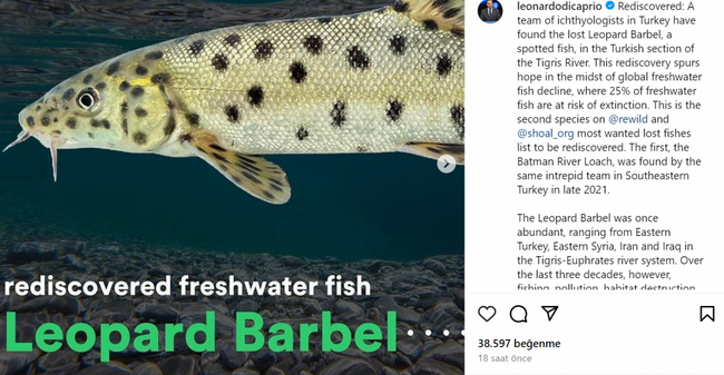 Leonardo Di Caprio'dan 'Türkiye' paylaşımı - Resim : 1