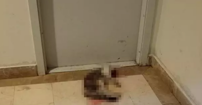 Dakikalarca tekmeleyip öldürmüştü: Yeni gelişme! Adalet Bakanı Yılmaz Tunç duyurdu… - Resim : 2