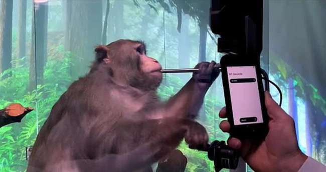 Elon Musk'ın hayali gerçek oluyor... İnsan beynine çip takacak! - Resim : 1