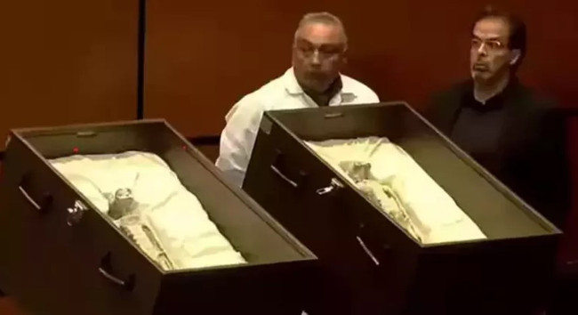 Uzaylıları resmen ifşa ettiler! En az 1000 yaşındalar, bu dünyaya ait değiller - Resim : 3