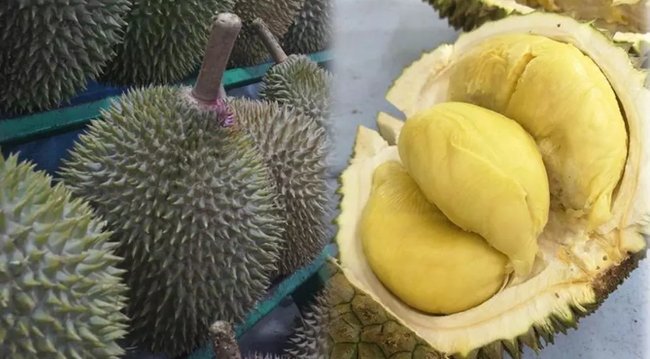 THY uçağında meyve kokusu paniği! - Resim : 1