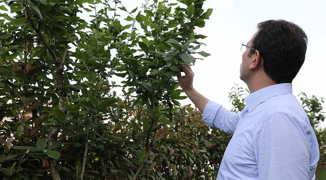 İmamoğlu hortumu eline aldı bahçeyi suladı - Resim : 3