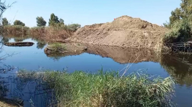 Ege'de dehşet veren görüntü! Ekolojik denge çöktü - Resim : 1