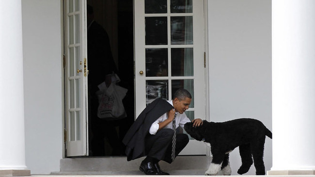 Obama ailesinin köpeği Bo hayatını kaybetti - Resim : 1