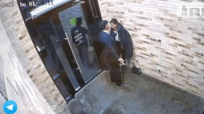 Eski ekonomi bakanı eşini boğarak öldürdüğü görüntüler ortaya çıktı - Resim : 1