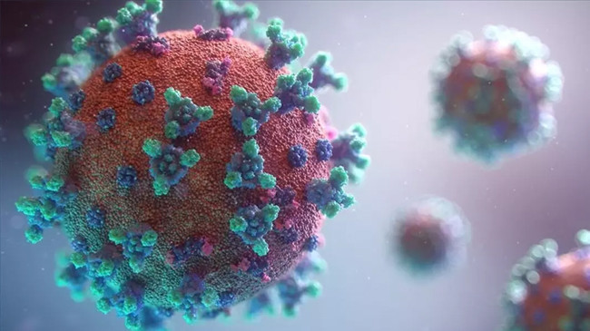 DSÖ’den ürküten açıklama! M çiçeği virüsü dünyanın birçok ülkesine yayıldı - Resim : 3