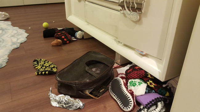 '5 kavanozu 100 lira Ekrem'e şok! '1,5 milyon dolarımı çaldılar! - Resim : 1