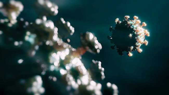 Bilim insanlarından korkutan yeni varyant açıklaması! En bulaşıcı tür olabilir - Resim : 1