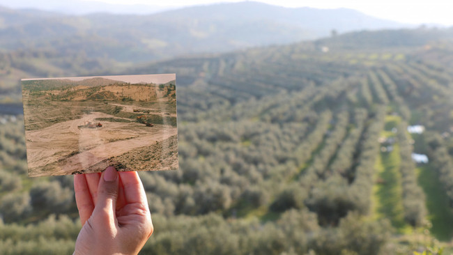 Madenciler, ocağına incir ağacı dikti! Doğadan alınanı geri verme projesi… - Resim : 2