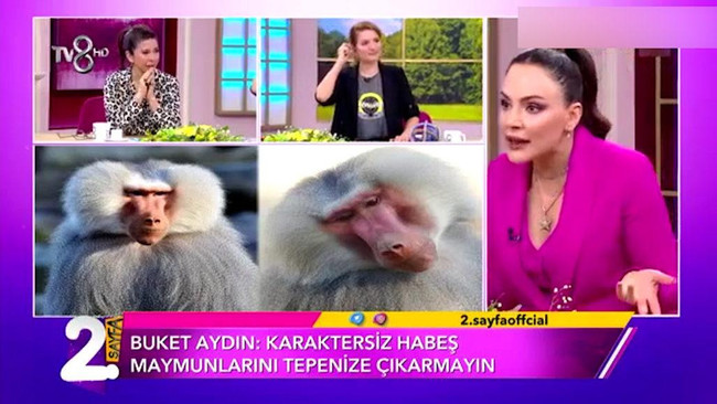 "Karaktersiz habeş maymunu..." demişti! Canlı yayında açıkladı: O sözler Emir Sarıgül'e mi? - Resim : 1