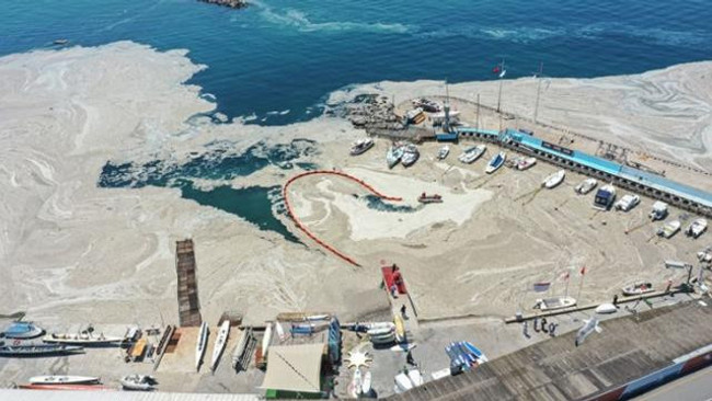Komisyon raporu çıktı: Marmara Denizi'ndeki müsilajın nedeni belli oldu - Resim : 1