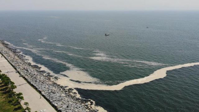 Komisyon raporu çıktı: Marmara Denizi'ndeki müsilajın nedeni belli oldu - Resim : 5