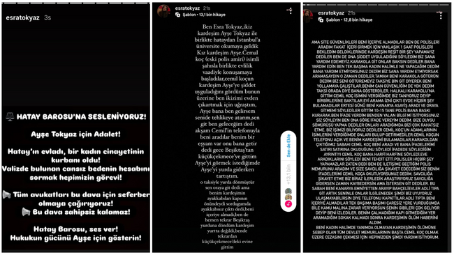 Ayşe Tokyaz cinayetinde korkunç detaylar! Evini kırmızıya boyamış! - Resim : 2
