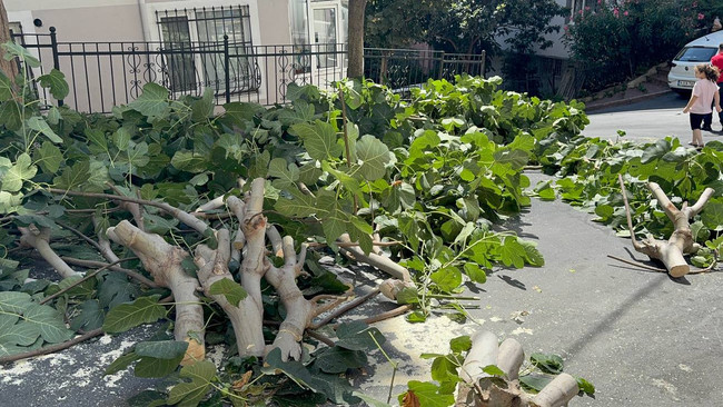 İstanbul'u fırtına vurdu! Gülhane Parkı kapatıldı! 2 kişinin üzerine ağaç düştü! - Resim : 1
