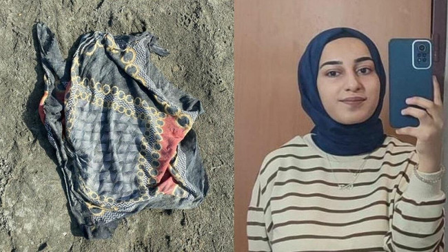 Rojin Kabaiş’in ölümüyle ilgili çarpıcı açıklama! Van’daki trajedide son durum - Resim : 2