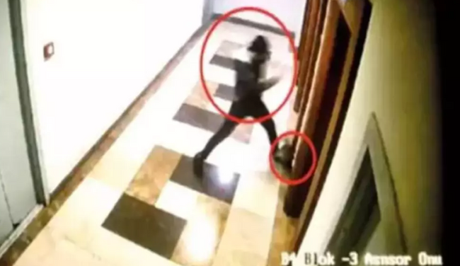 Başakşehir'de kediyi tekmeleyerek öldüren sanığın ifadesi ortaya çıktı! 'Sol bacağımı yaraladı' - Resim : 1