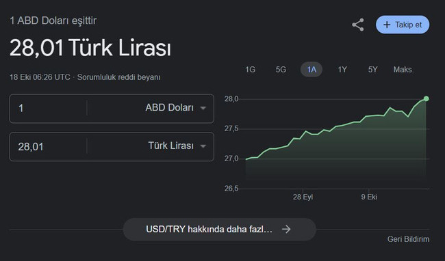Dolarda yeni rekor: Tarihi zirveyi gördü! - Resim : 1